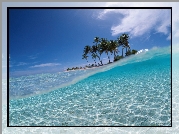 Palmy, Wyspa, Ocean