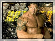 Batista, Dave Bautista, Wrestling, WWE, Aktor, Wrestler