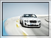 Bentley Continental Supersports, Grafika