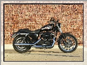 Harley Davidson Sportster XL883R, Bak, Paliwa