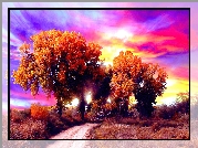 Drzewa, Kolorowe, Niebo, Jesień