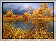 Jezioro, Jesień, Złote, Drzewa