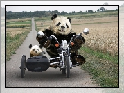 Pandy, Na, Motocyklu