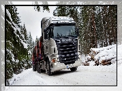 Scania R730, Ciężarówka, Drewno, Śnieg