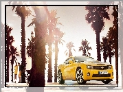 Żółty, Chevrolet Camaro