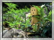 Danbo, Trawa, Kamienie