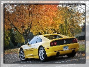 Ferrari 355 F1 Berlinetta, Plac, Drzewa