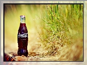 Butelka, Coca Cola, Trawa