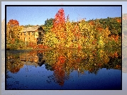 Jesień, Jezioro, Dom, Drzewa, Kolorowe
