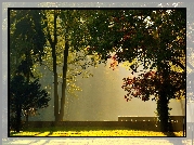 Park, Poranek