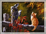 Obraz, Kotek, Ptaki, Płot, Persis Clayton Weirs