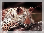 Gepard, Fraktal