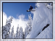 Śnieg, Drzewa, Snowboard