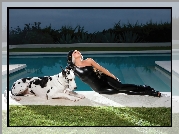 Lady, Gaga, Pies, Dog, Basen