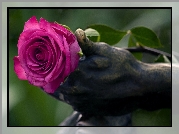Różowa, Róża, Dłoń, Posąg