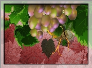 Winogrona, Kiść, Liście, Grafika