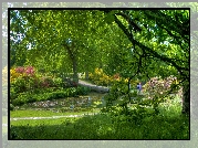 Park, Staw, Zieleń