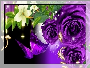 Purpurowe, Róże, Motyl, Grafika