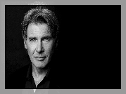 Harrison Ford, Aktor, Portret