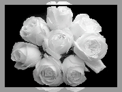 Bukiet, Róże, Czarno-Białe