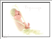 Małe, Śpiące, Dziecko, Praca, Anne Geddes