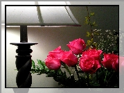 Czerwone, Róże, Lampa
