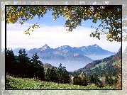 Ibergeregg, Szwajcaria, Góry, Drzewa, Trawa