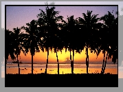 Palmy, Morze, Zachód słońca