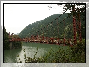 Most, Wiszący, Rzeka, Zalesiona, Góra