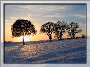 Śnieg, Drzewa, Zachodzące, Słońce