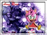 Amy Rose, Sonic