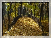 Park, Jesień, Mostek, Liście