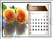 Kalendarz, Róże, Marzec, 2013r