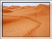 Pustynia, Sahara