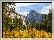 Stany Zjednoczone, Stan Kalifornia, Park Narodowy Yosemite, Jesień, Góry, Drzewa