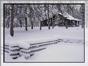 Las, Drewniany, Dom, Pokryte, Śniegiem