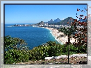 Plaża, Morze, Drzewa, Rio De Janeiro
