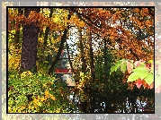 Park, Jesień, Kolorowe, Liście, Most, Jezoro