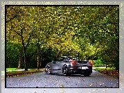 Ferrari, F430, Jesień, Droga, Drzewa