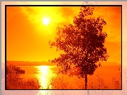 Jezioro, Drzewo, Zachód Słońca