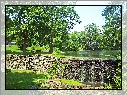 Park, Staw, Ławeczki