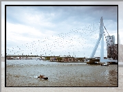 Erasmus Bridge, Rotterdam, Holandia, Rzeka