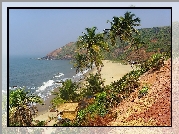 Plaża, Palmy, Goa, Indie