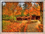 Park, Jesienią, Aleja, Altana