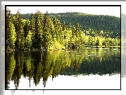 Wzgórze, Jezioro, Las