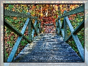 Most, Jesień, Las