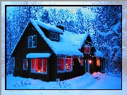 Dom, Drzewa, Zima