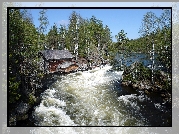 Finlandia, Park Narodowy Oulanka, Rzeka, Zalesione, Brzegi, Domek