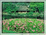 Dom, Ogród, Rzeka, Kwiatki