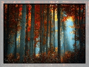 Las, Mgła, Jesień
